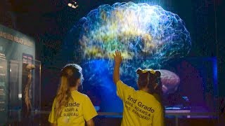 Journey Through the Human Brain