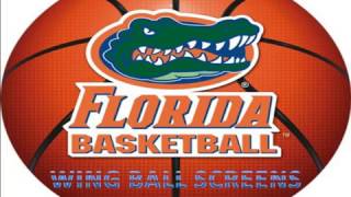 FLORIDA GATORS-WING BALL SCREENS