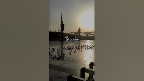 "لحظات هدوء مع آية من القرآن الكريم 🕊️"