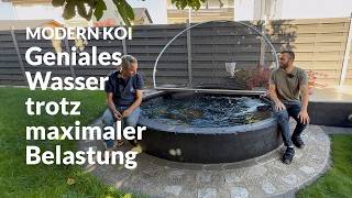 Ali and Artur's outdoor koi pond | Modern Koi Blog #7937