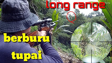 Berburu tupai long range