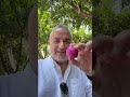 One Week in Mexico: Guadalajara, Tlaquepaque, Zacatecas, Jerez. Instagram Reels of Food Discoveries