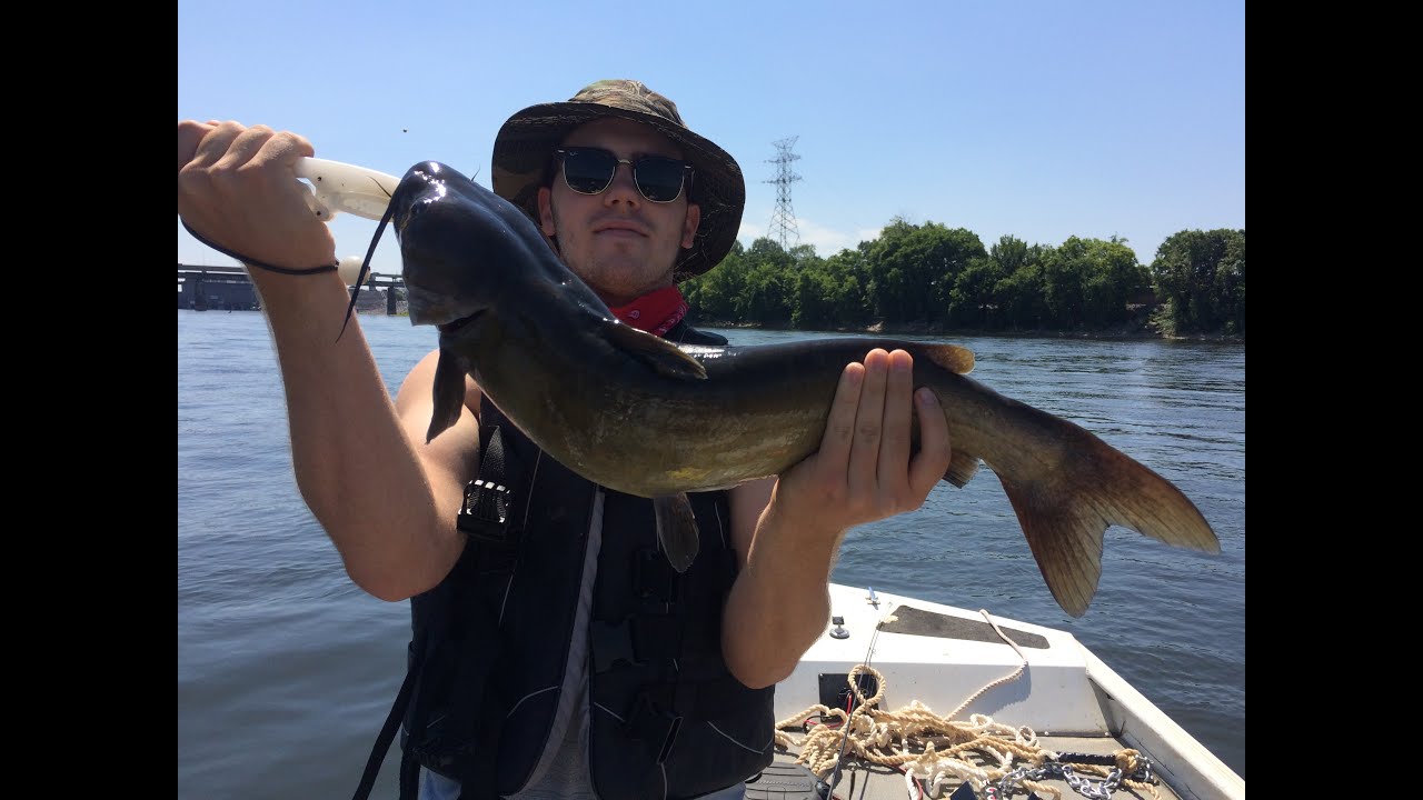 Curt's Big Channel Catfish on Light Tackle 