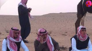 مرباع صاحب السمو الملكي الامير مشعل بن سعود بن عبدالعزيز لعام 1436ه