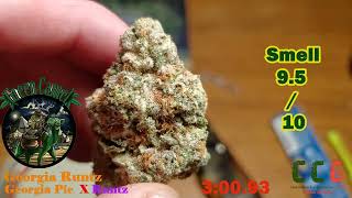 Green Camel - Georgia Runtz - NEW 2026 Version - 5 Min Review 