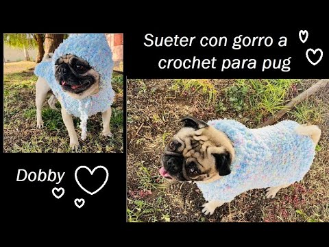 con gorro a pug #crochetdog #crochetperro - YouTube