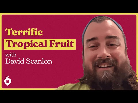 Growing Fruit For Your Climate with David Scanlon | The Beet
