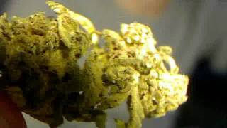 Weed show.