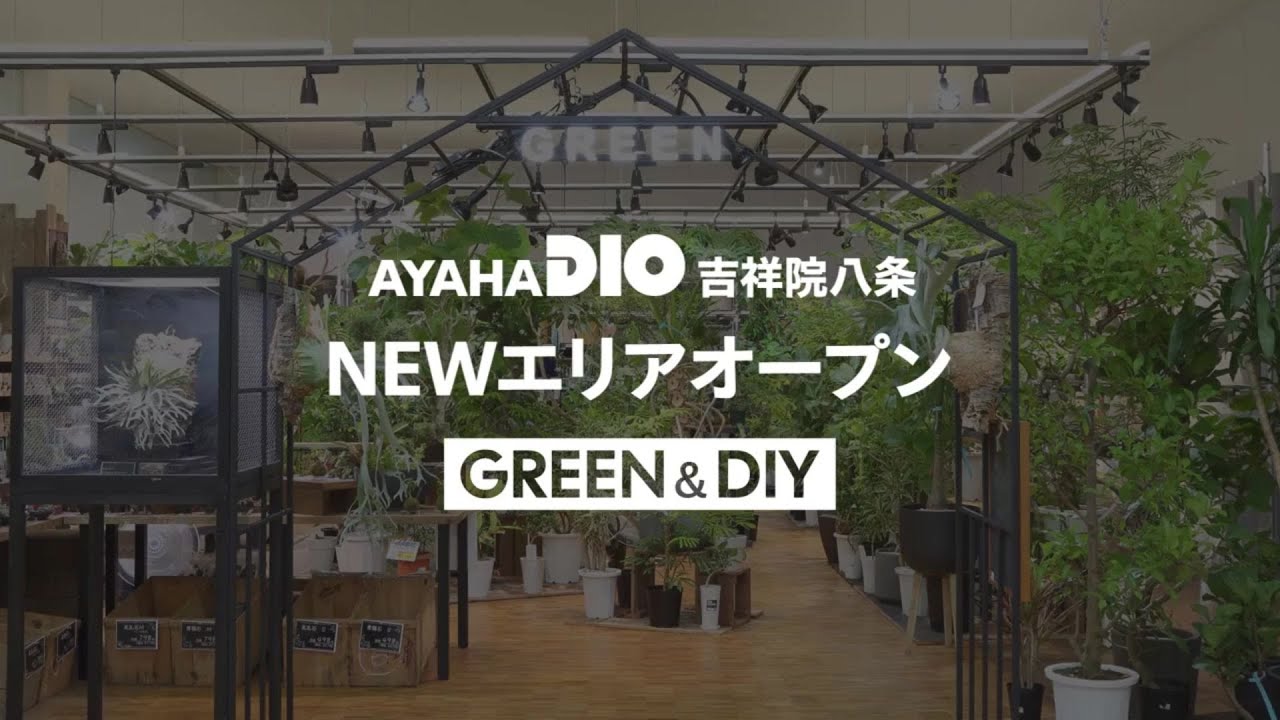 アヤハディオ 吉祥院八条店 NEWエリアオープン