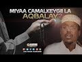 MIYAA CAMALKEYGII LA AQBALAY ? ᴴᴰ┇ Sh. Mustafe Xaaji Ismaaciil