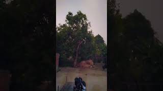 Today weather # short video