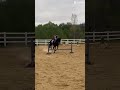BEST LESSON EVER!! #viral #horse #equestrianjourney #fypシ #pony #fun #lesson #matching #cute