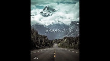 فلا تطع المكذبين | سورة القلم