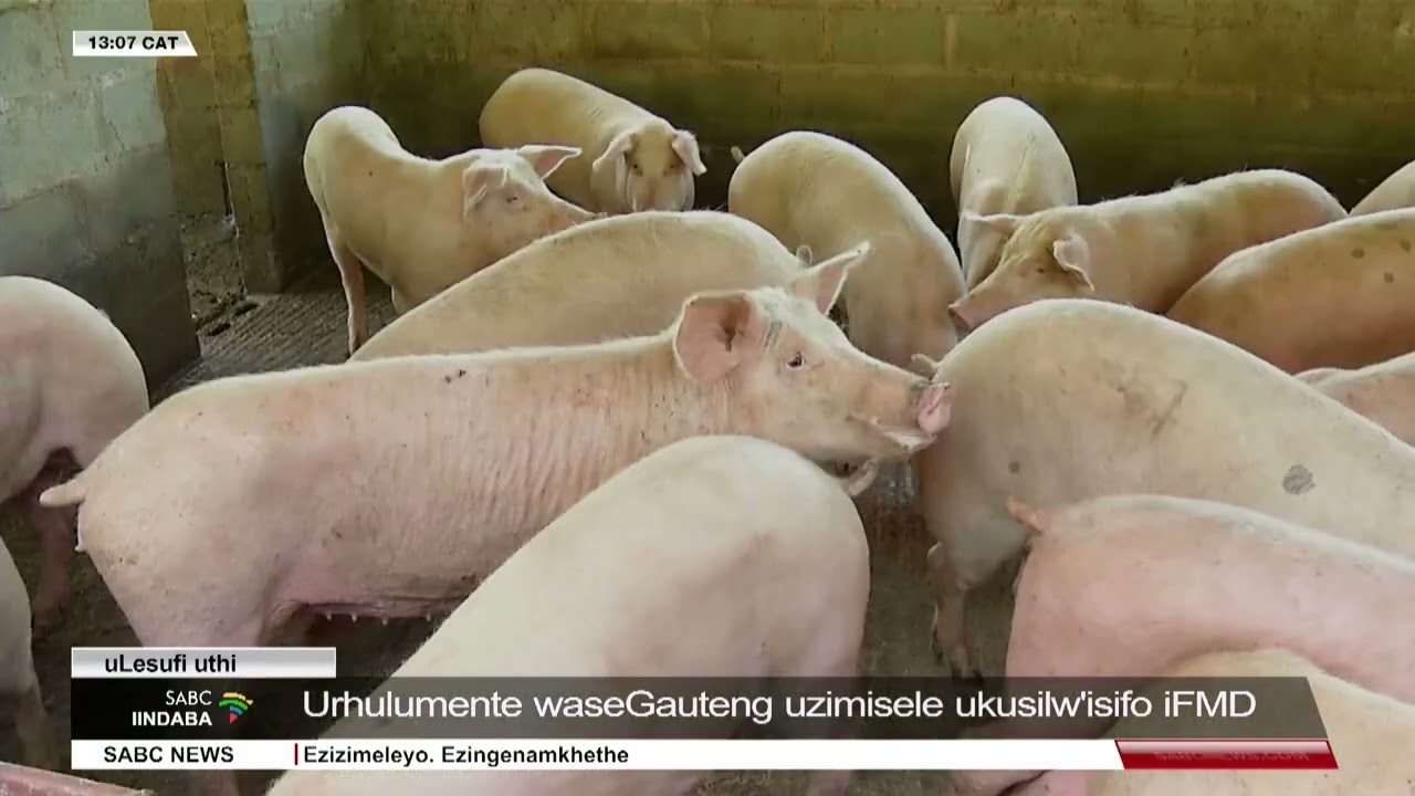 Iindaba zesiXhosa @13H00 l 27 January 2026