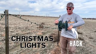 CHRISTMAS LIGHT Take Down HACK | FAST & TANGLE FREE