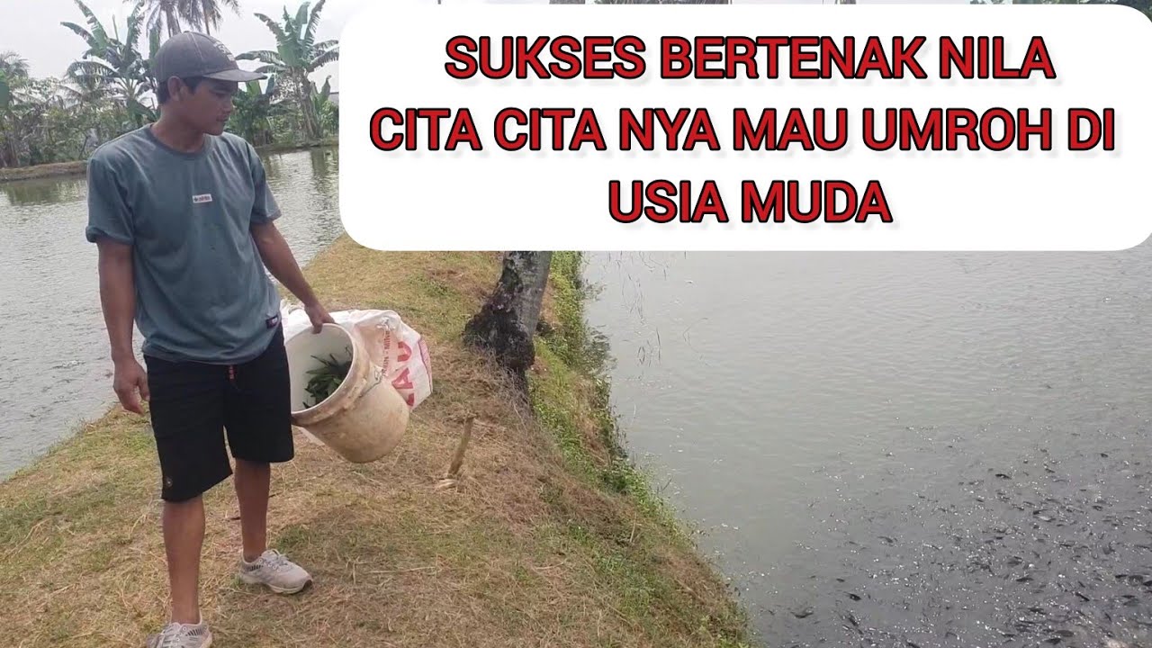 PETERNAK NILA HITAM CITA CITA NYA MAU UMROH DI USIA MUDA