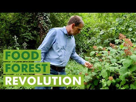 The Food Forest Movement is Spreading Across Europe!