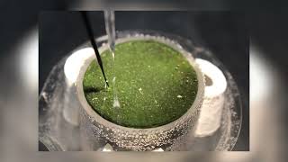 2021 World Microbe Forum Video