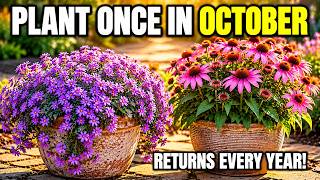 ONLY IN OCTOBER! Plant These 9 Perennials in Pots — They Come Back Every Year!