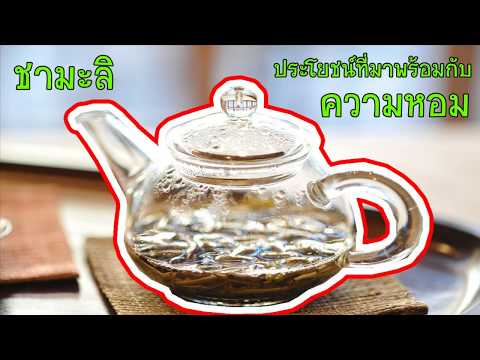 7 ประโยชน์ชามะลิ ชาสมุนไพรมากคุณค่า พร้อมกลิ่นหอมๆ สำหรับคนรักชา