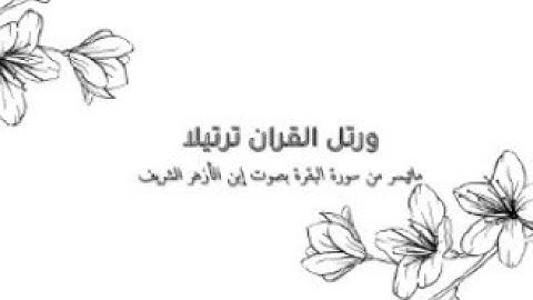 ماتيسر من سورة البقرة - بصوت إبن الأزهر الشريف- محاكاة الشيخ حسن صالح - فجري