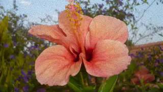 So Y...ate Vie Scandal