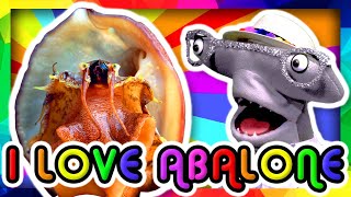 I LOVE ABALONE | The Pacific Pals