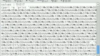 Format String Bug and Code Injection