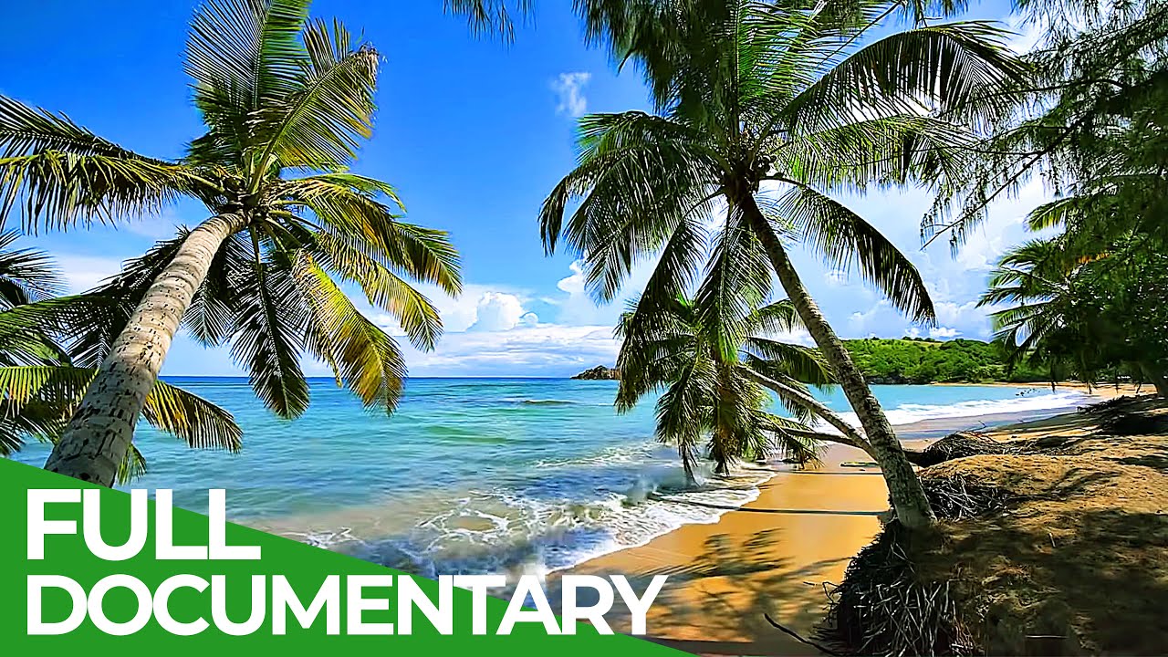 Martinique - French Pearl in the Caribbean | Free Documentary Nature