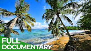 Martinique - French Pearl in the Caribbean | Free Documentary Nature