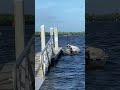 Williams Boat Ramp-Hurricane Helene aftermath