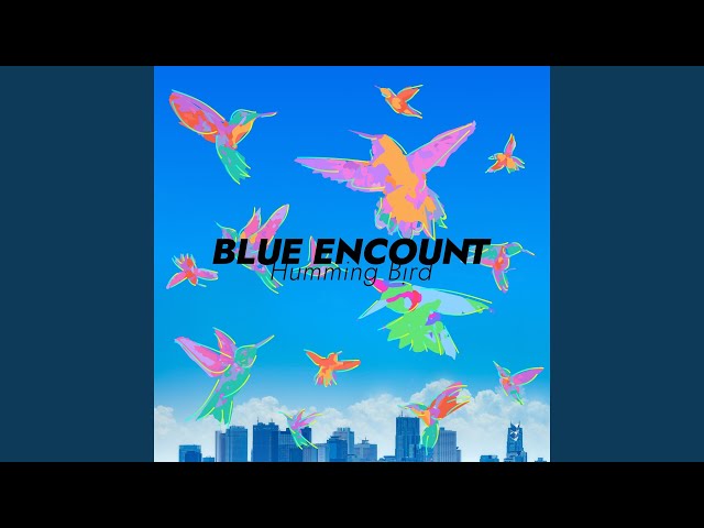 Humming Bird - YouTube