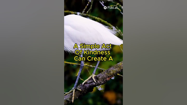 The Ripple Effect of Kindness #quotes #subscribe #shorts #shortvideo #youtubeshorts