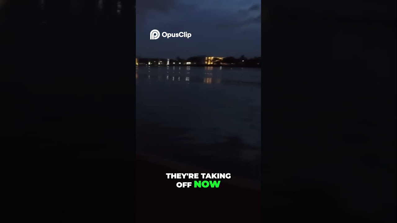 Zesty Bites Save the Day  Beach Panic & Wave Blast!