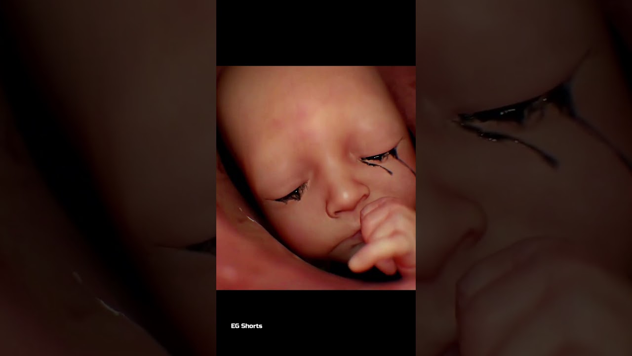 Connection, Bridge Baby & Sam ... 