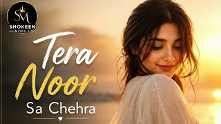 Tera Noor Sa Chehra   Romantic Love Song 2025  Heart Touching Hindi Song  Shokeen Mobile