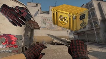 Sport gloves Scarlet shamagh cs 1.6 skin pack