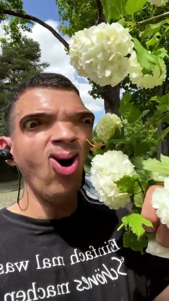 Ich mag Vanilleeis vom Baum #shorts - YouTube