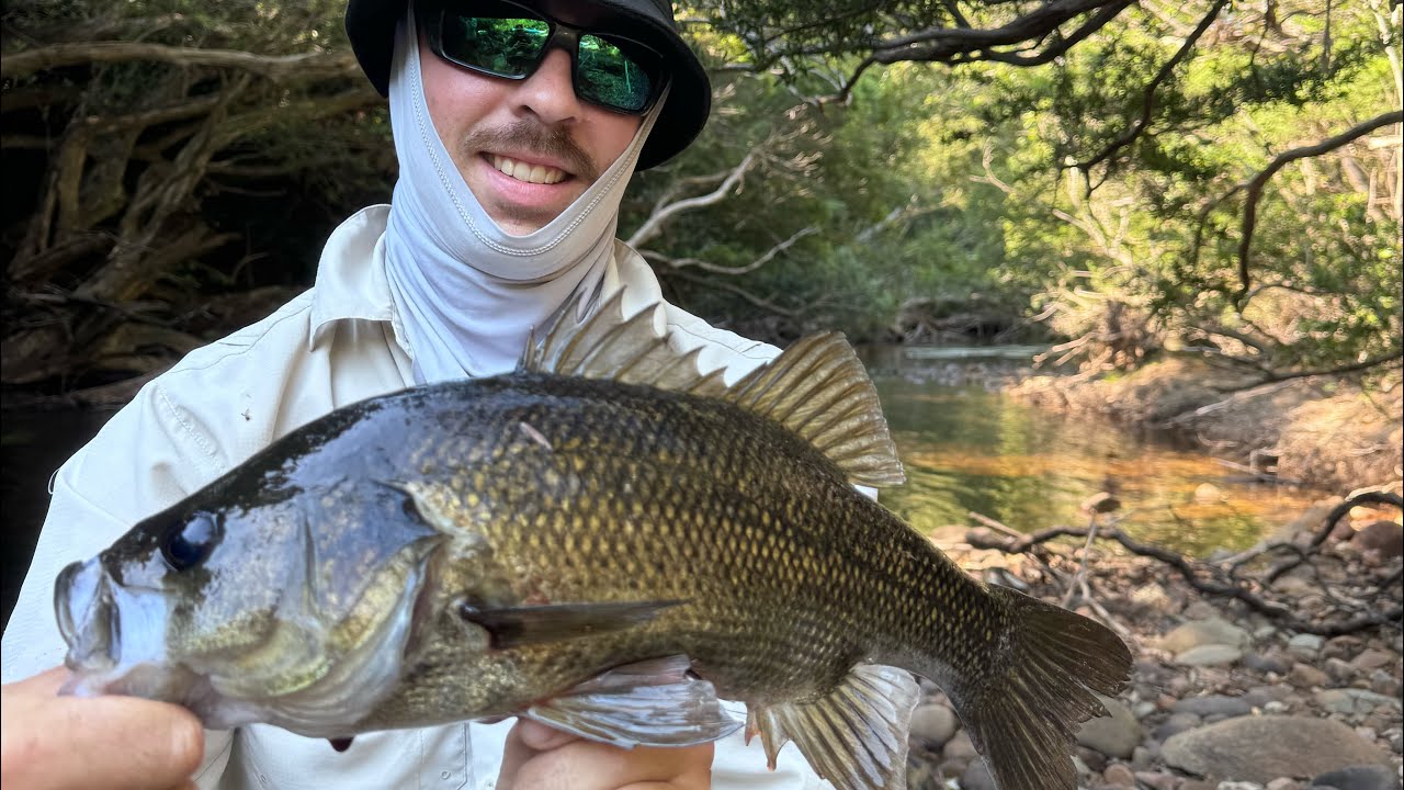 NSW Bass Fishing, 12kms of true wild river Bass