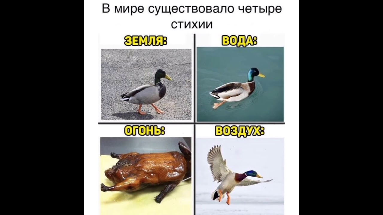 Мемы 2021 года