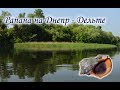 Рапана на Днепр - Дельте. Русская Рыбалка 3.99.