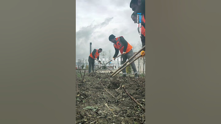 Çorum Belediyesi, Daha Yeşil Bir Çorum İçin Çalışıyor