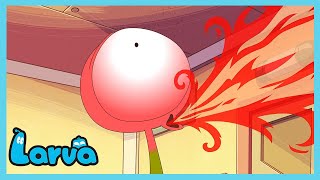 LARVA - Red Hot Chilli Peppers | Cartoons for Kids | WildBrain Fizz