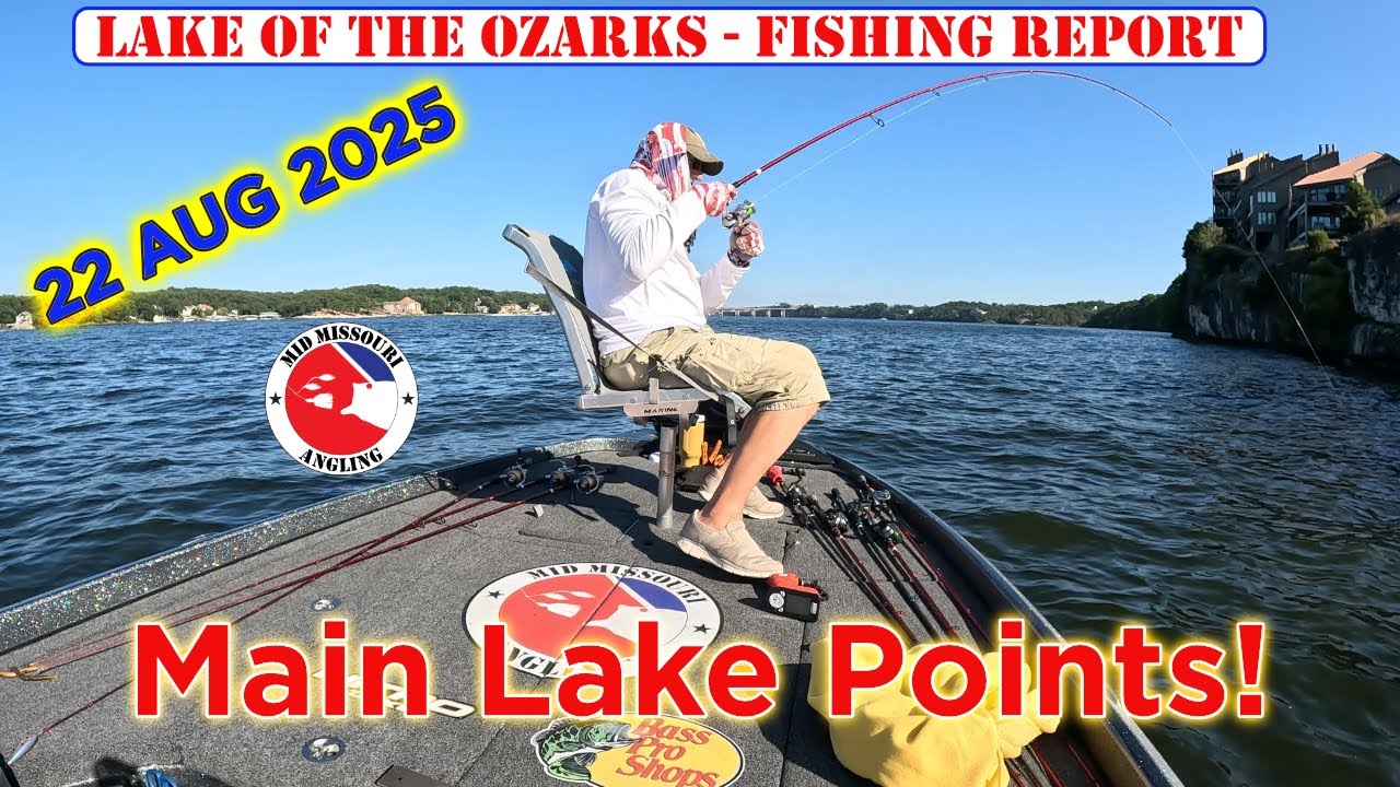 Lake of the Ozarks Bass Fishing – 22 Aug 2025 | Fishing report
