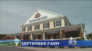 Dream Drives: Ice Cream, Aged Cheeses & More At Chesco Dairy Farm
