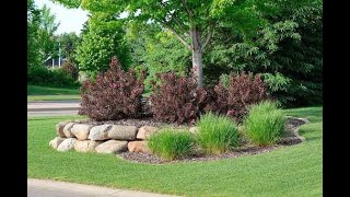 Trees and Shrubs in the Home Landscape