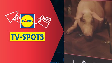Bij Lidl is de juiste keuze snel gemaakt - Behind the scenes