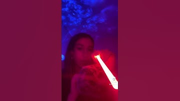 ASMR guess the word! (light triggers)