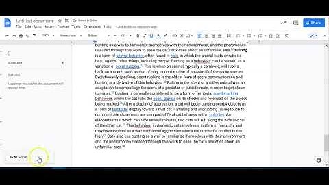 Using Word Count Feature in Google Docs