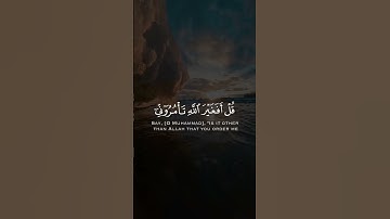 قل أفغير الله تأمروني أعبد أيها الجاهلون | سورة الزمر | القارئ يونس اسويلص